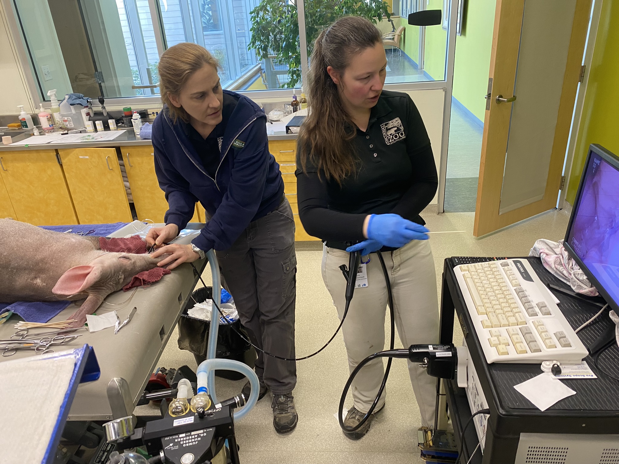 Vet Staff at the Cincinnati Zoo