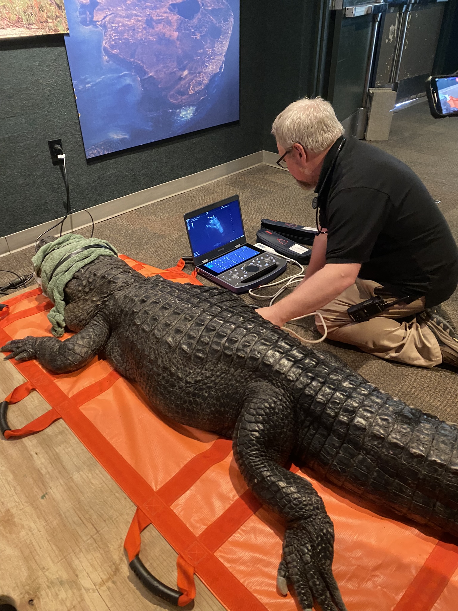 Vet Staff at the Cincinnati Zoo