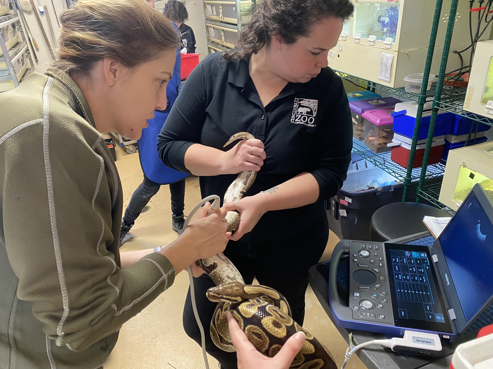Vet Staff at the Cincinnati Zoo