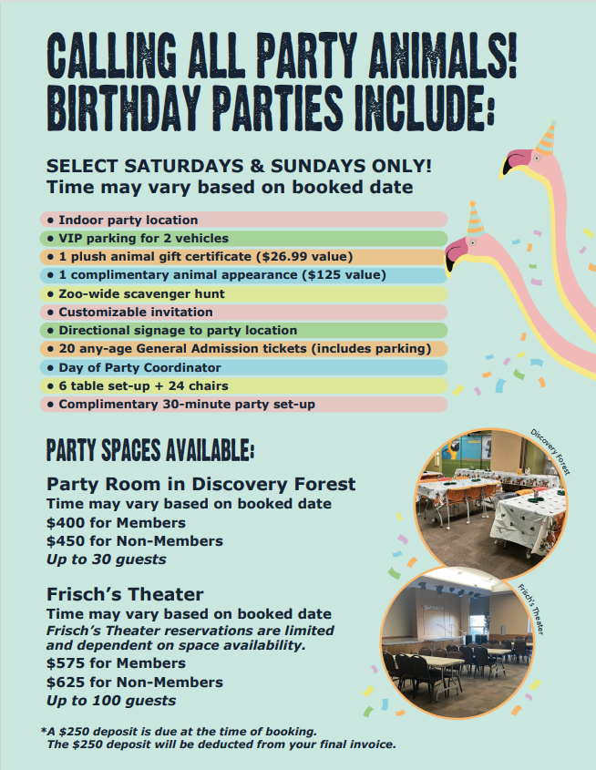 birthday party details