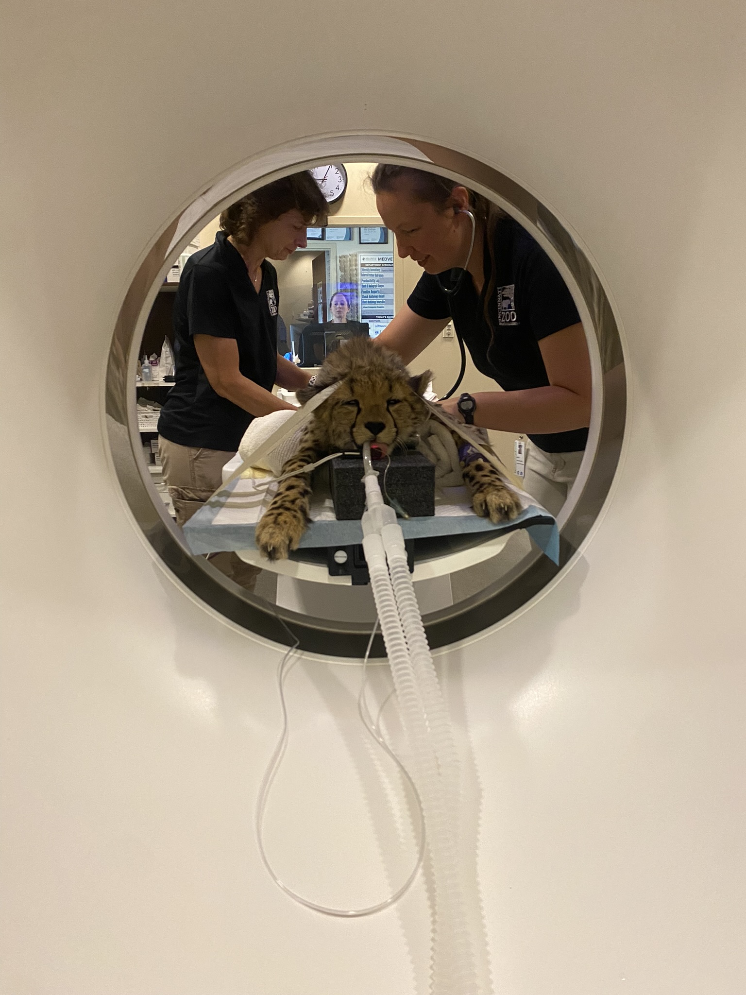 Vet Staff at the Cincinnati Zoo