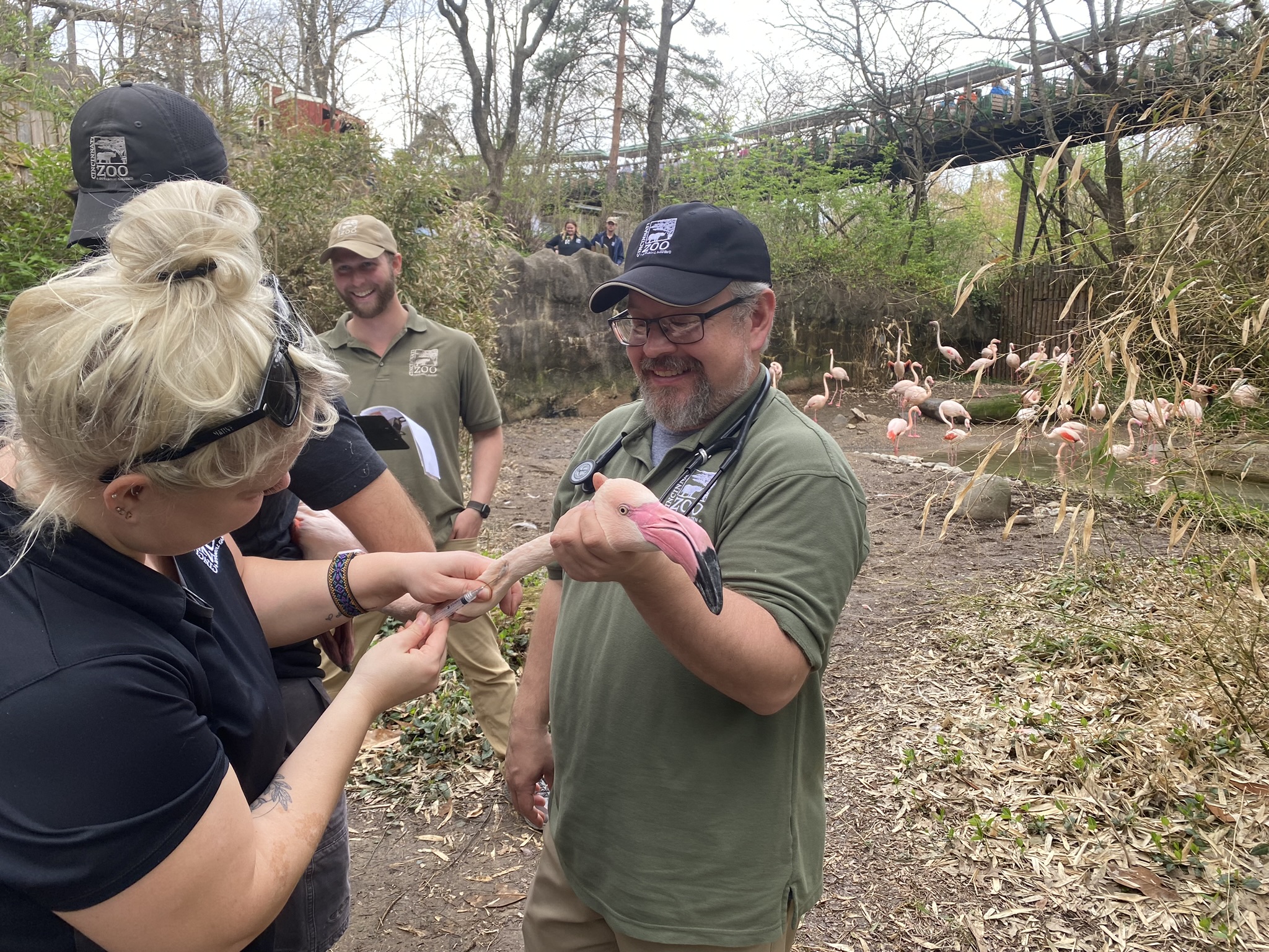 Vet Staff at the Cincinnati Zoo