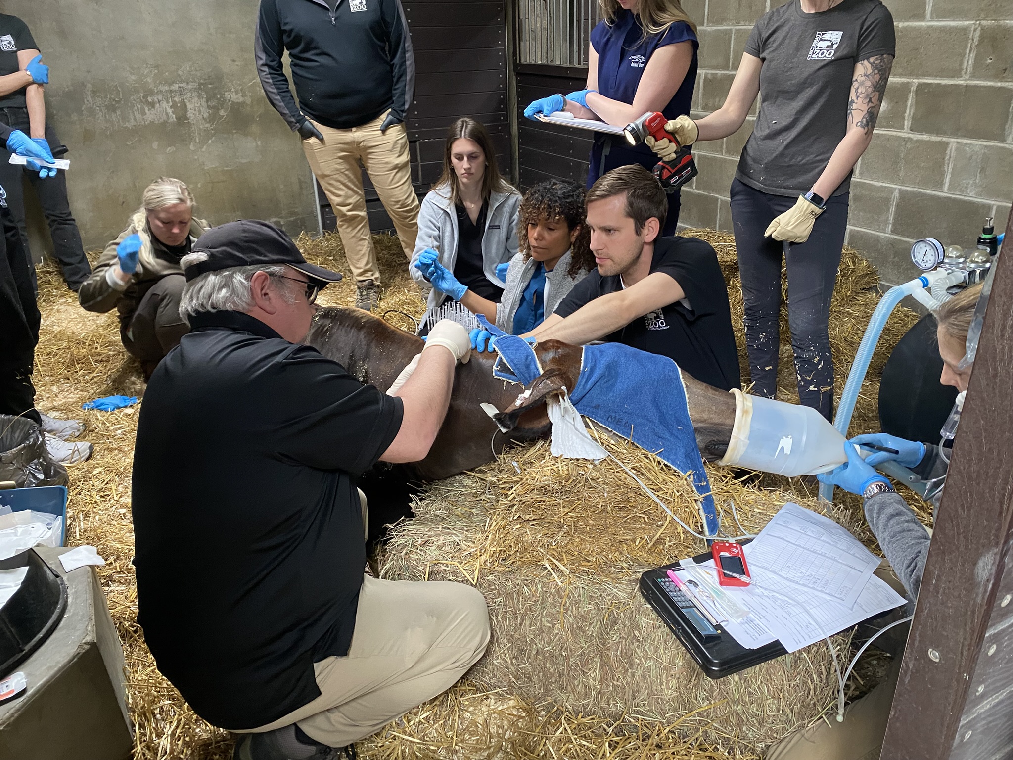 Vet Staff at the Cincinnati Zoo