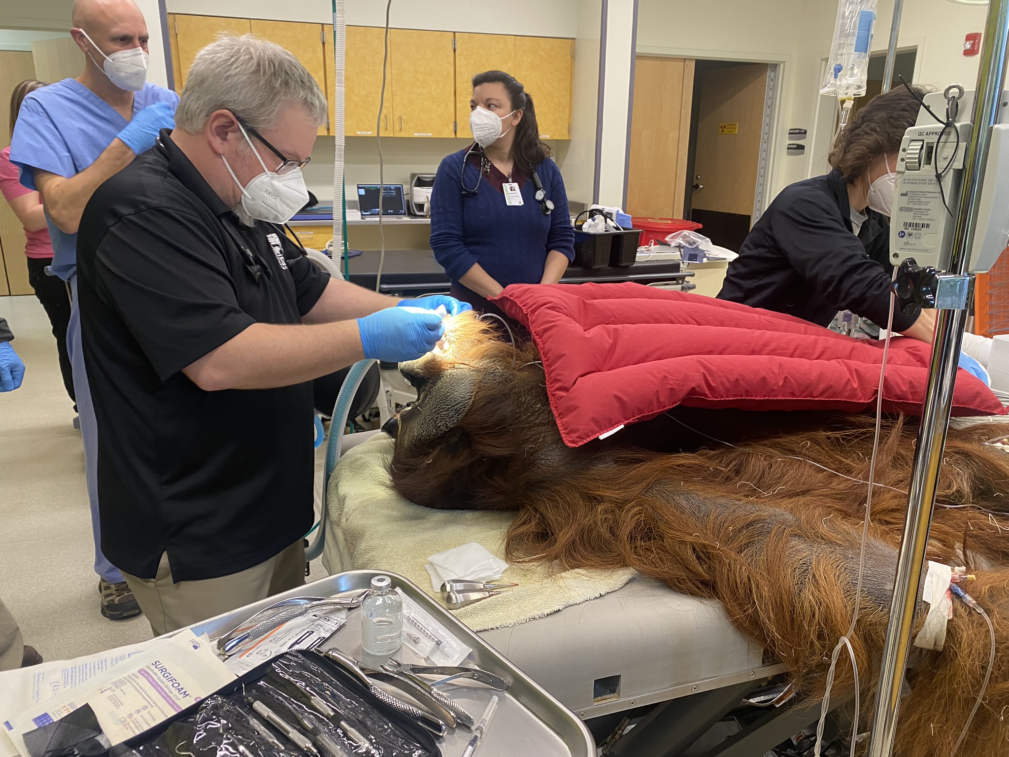 Vet Staff at the Cincinnati Zoo