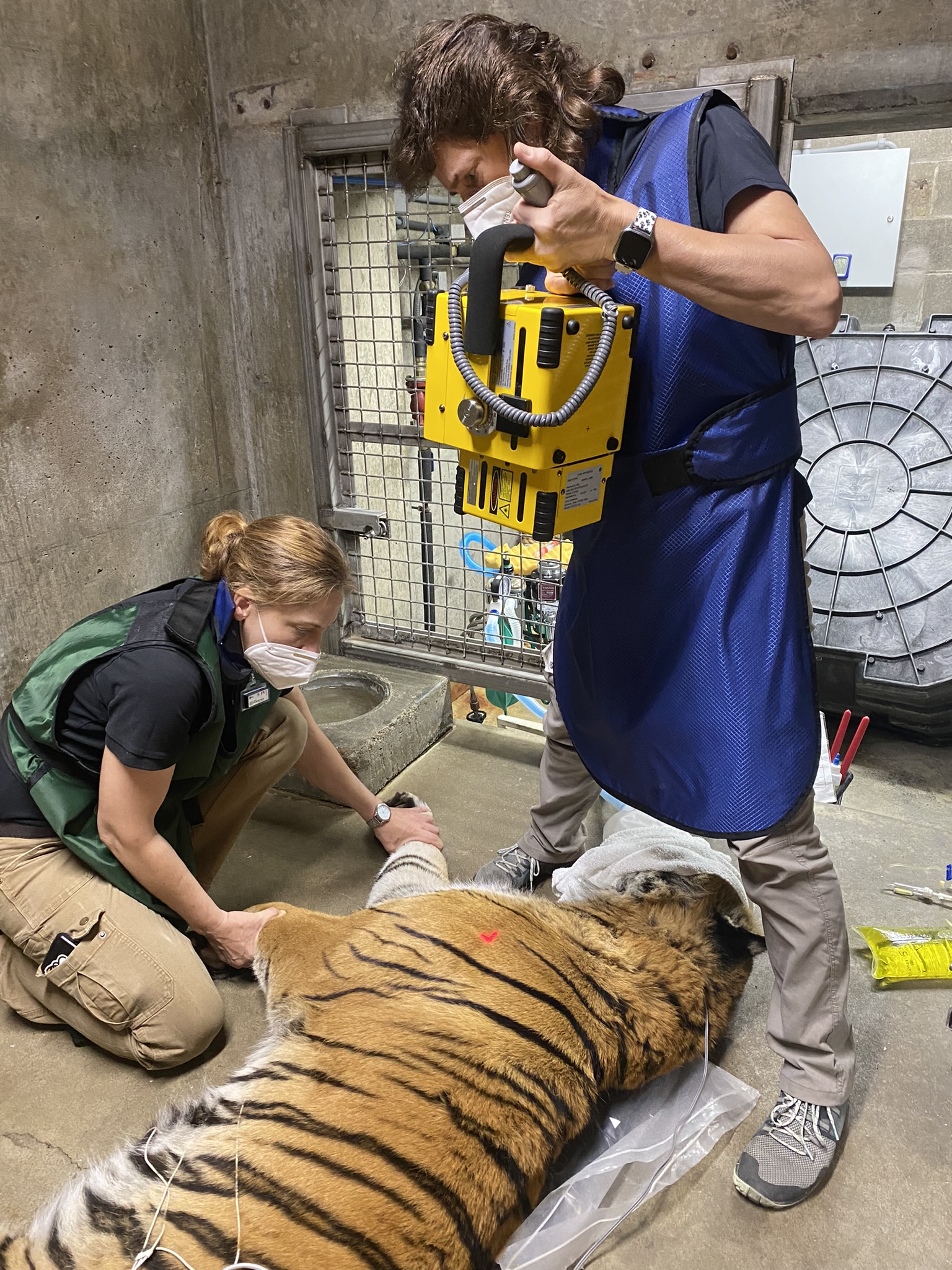 Vet Staff at the Cincinnati Zoo