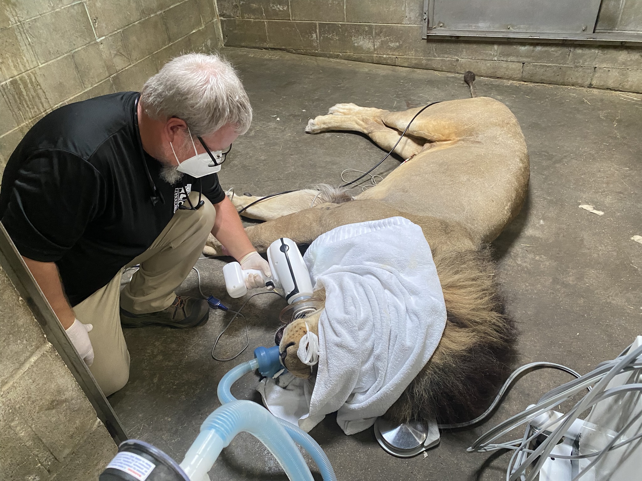 Vet Staff at the Cincinnati Zoo