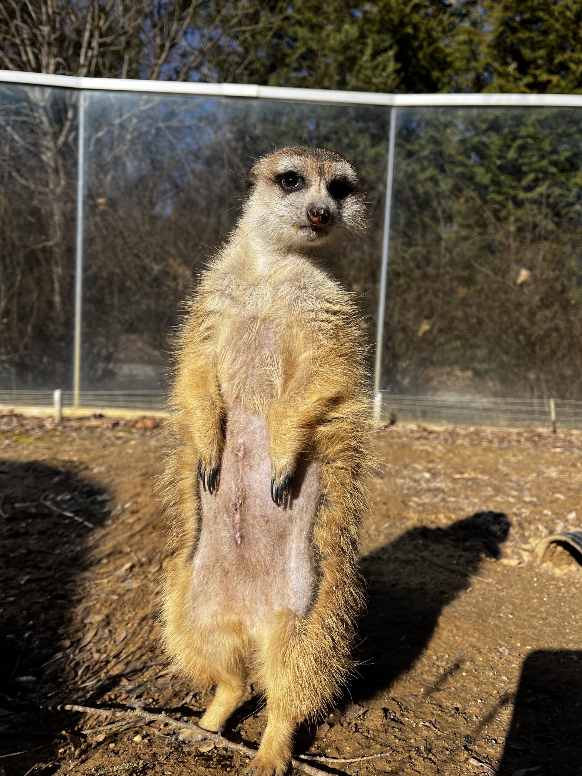 Vet Staff at the Cincinnati Zoo