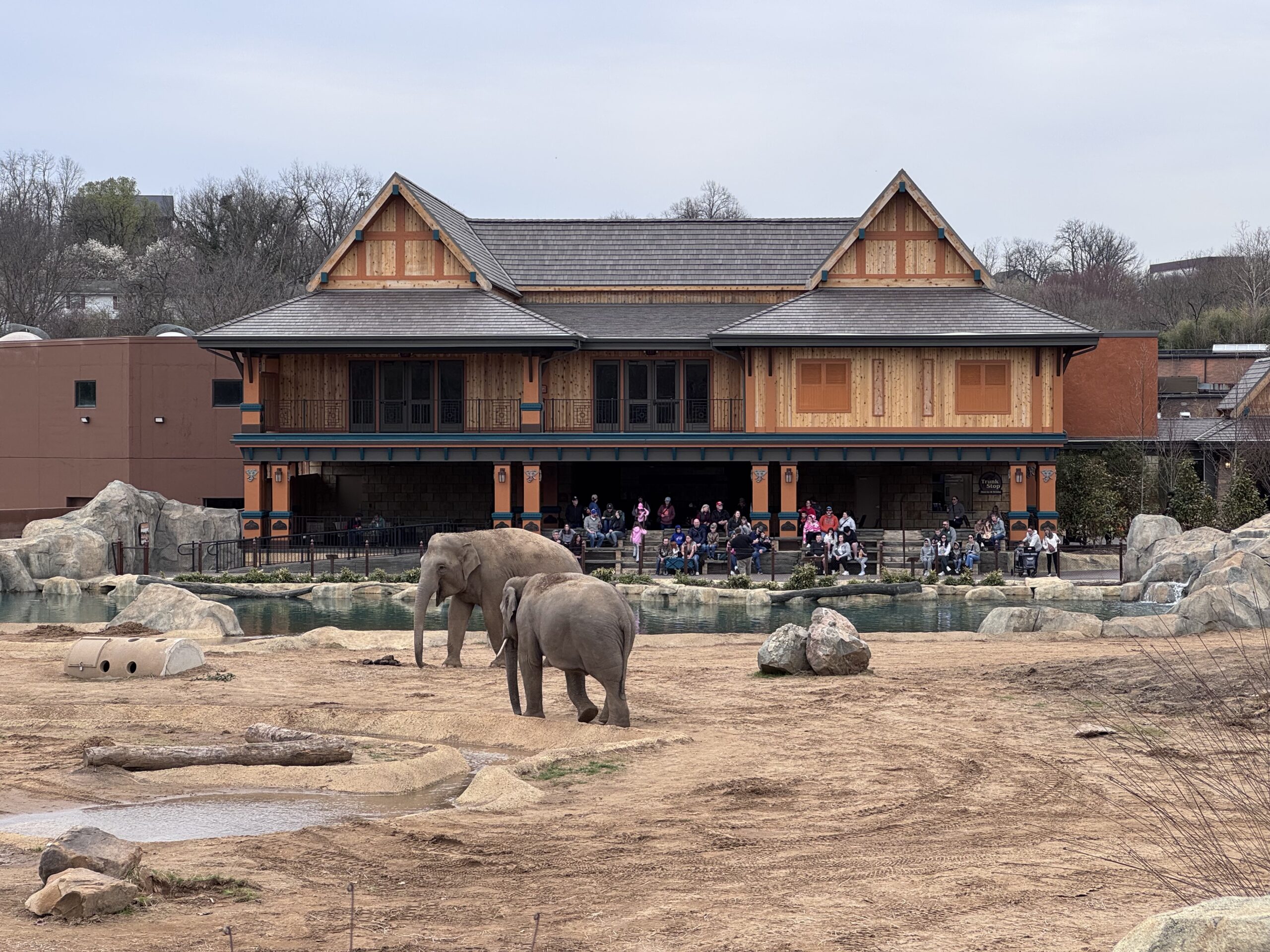 elephant trek