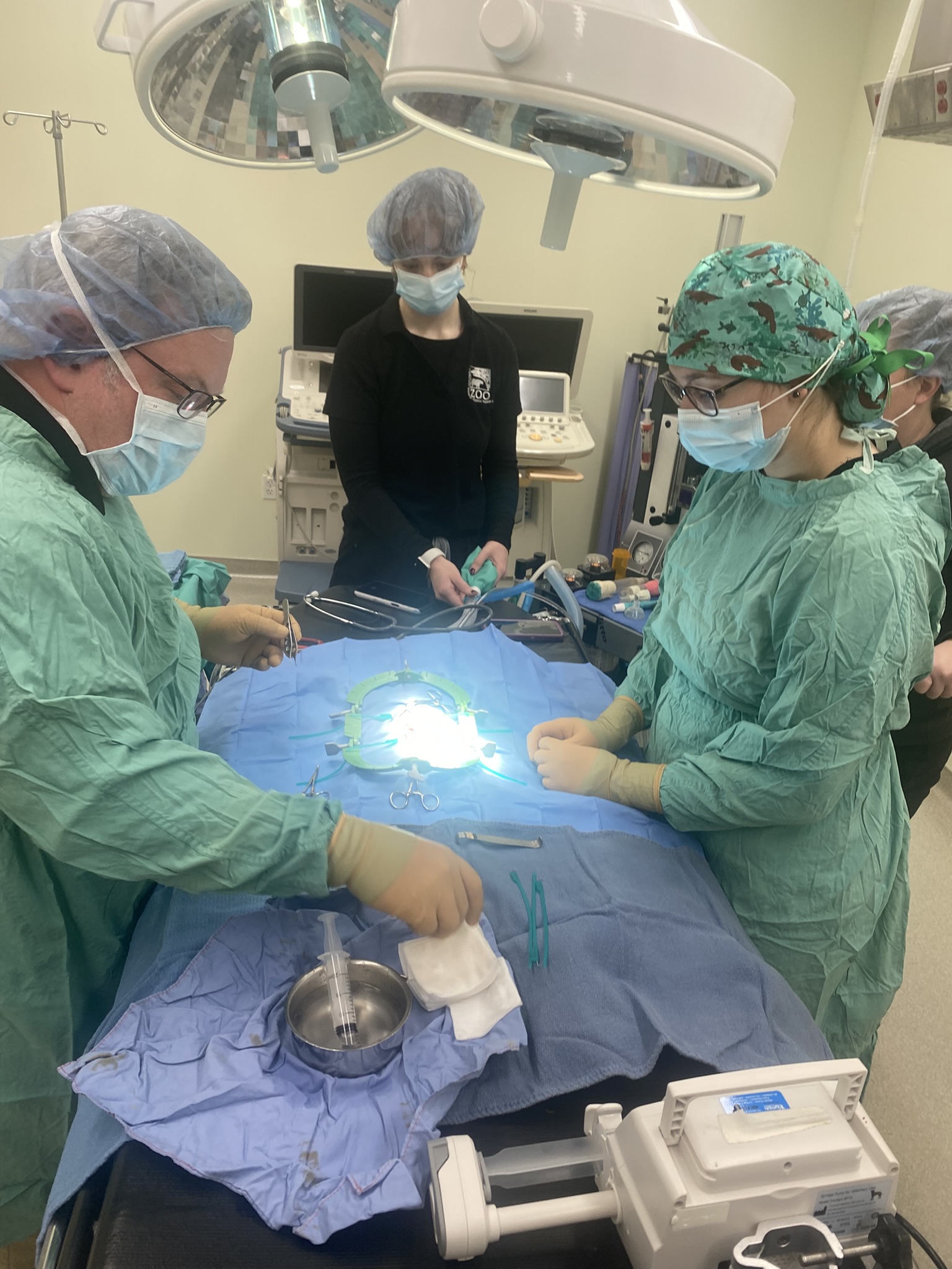 Vet Staff at the Cincinnati Zoo