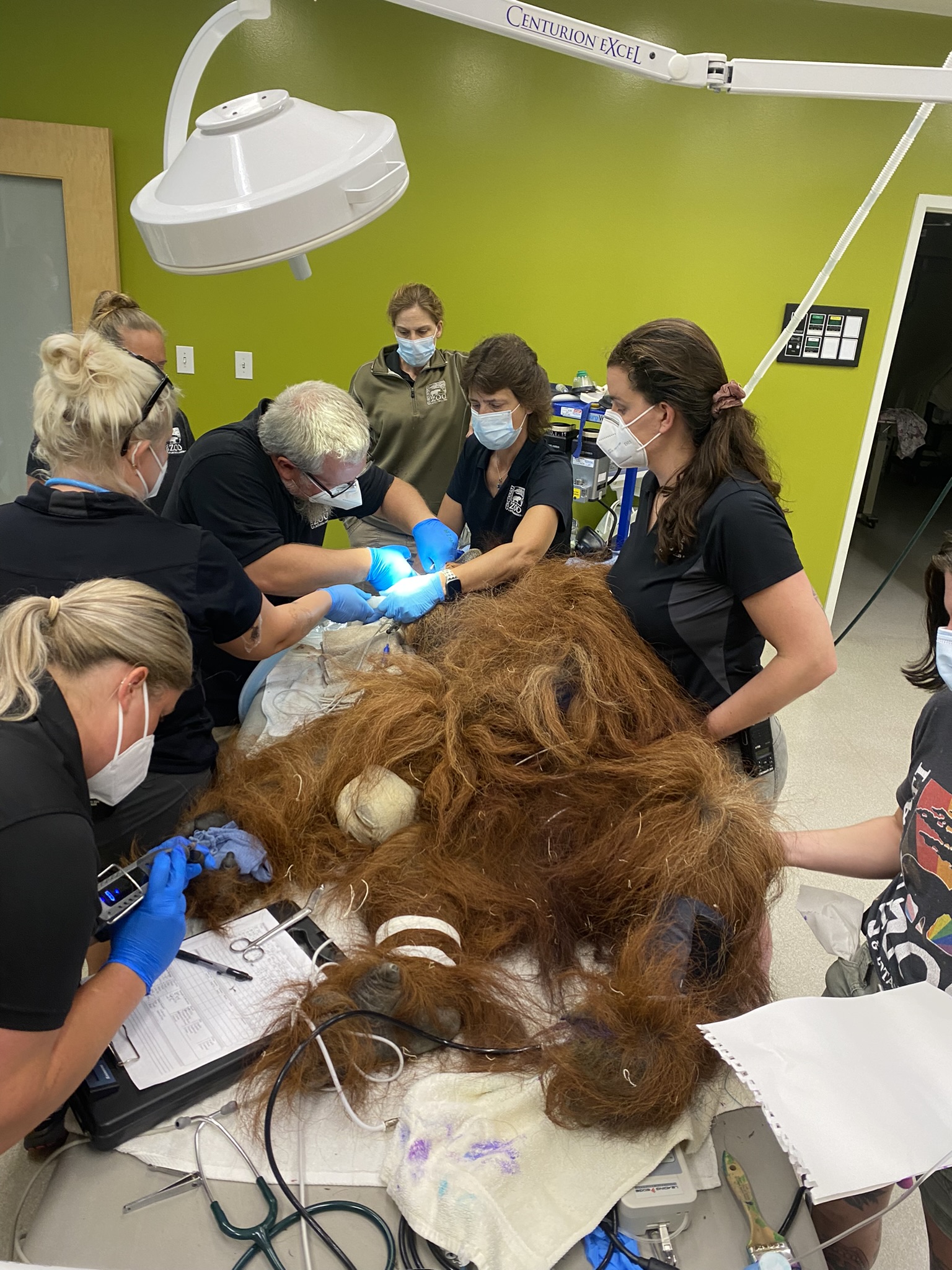 Vet Staff at the Cincinnati Zoo