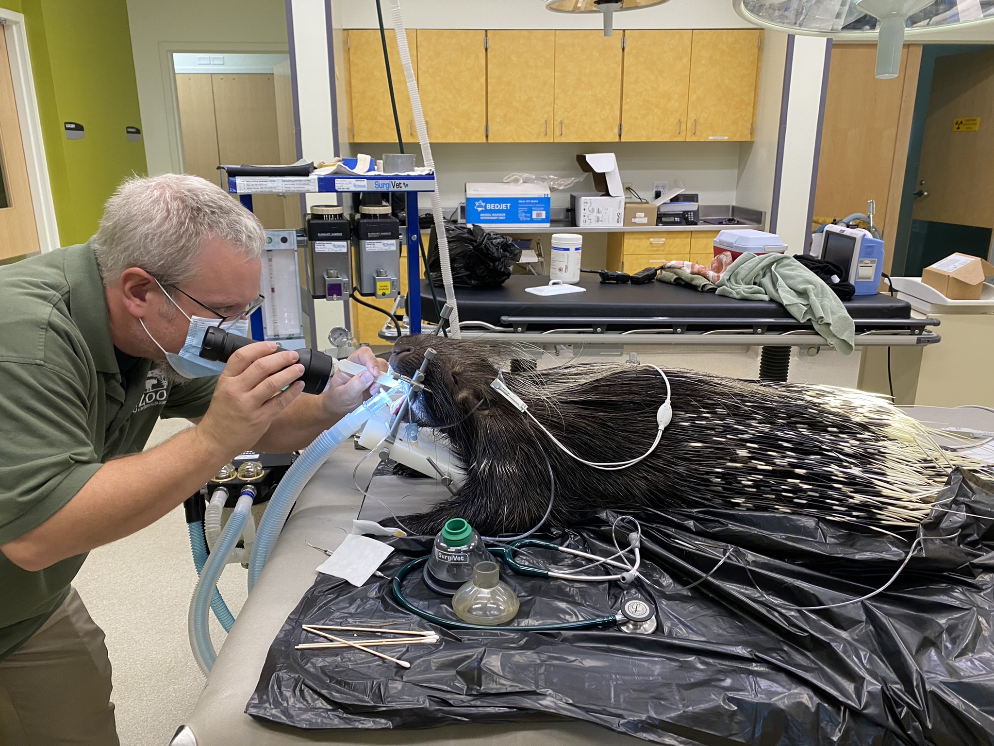 Vet Staff at the Cincinnati Zoo