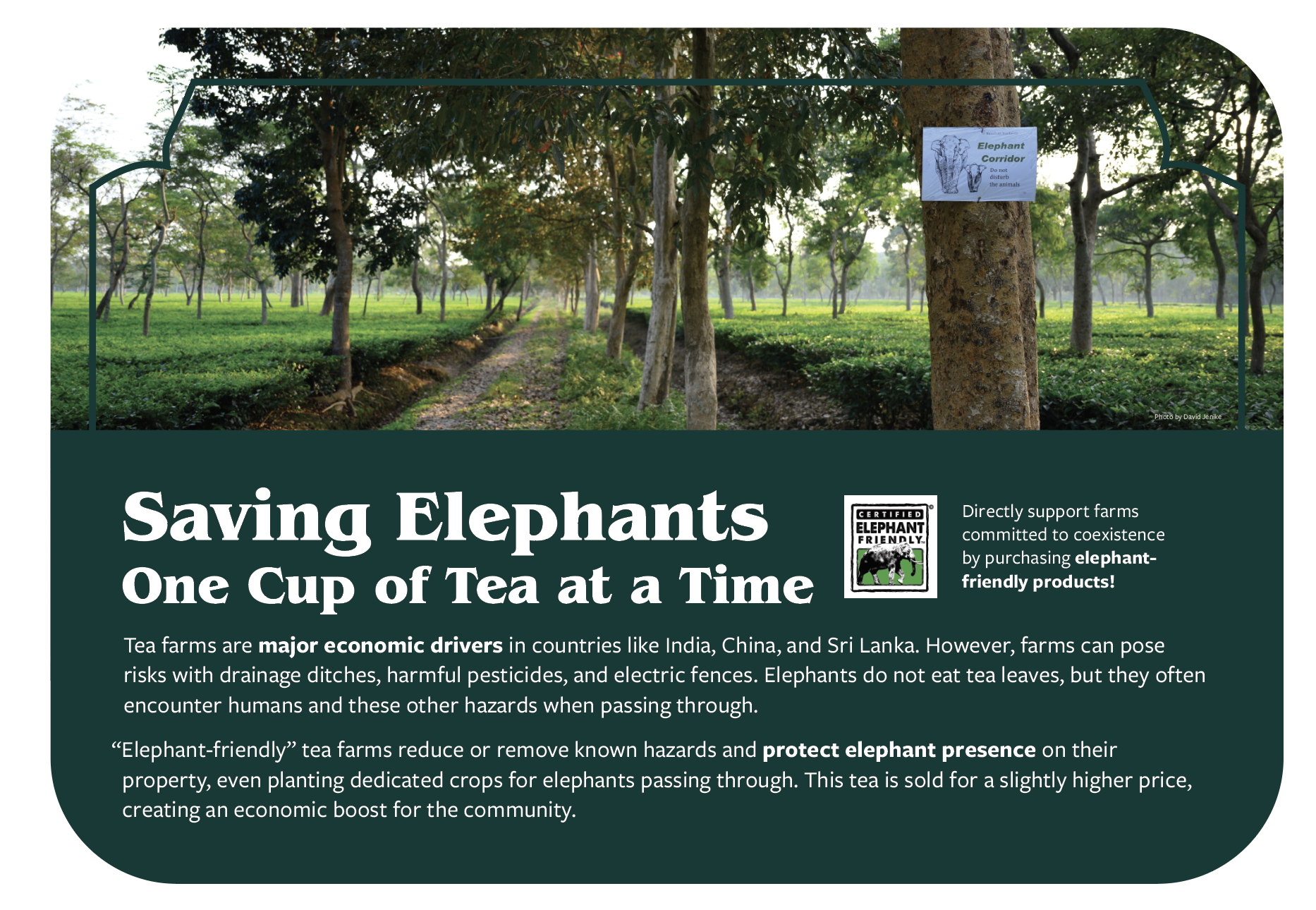 elephant trek signage
