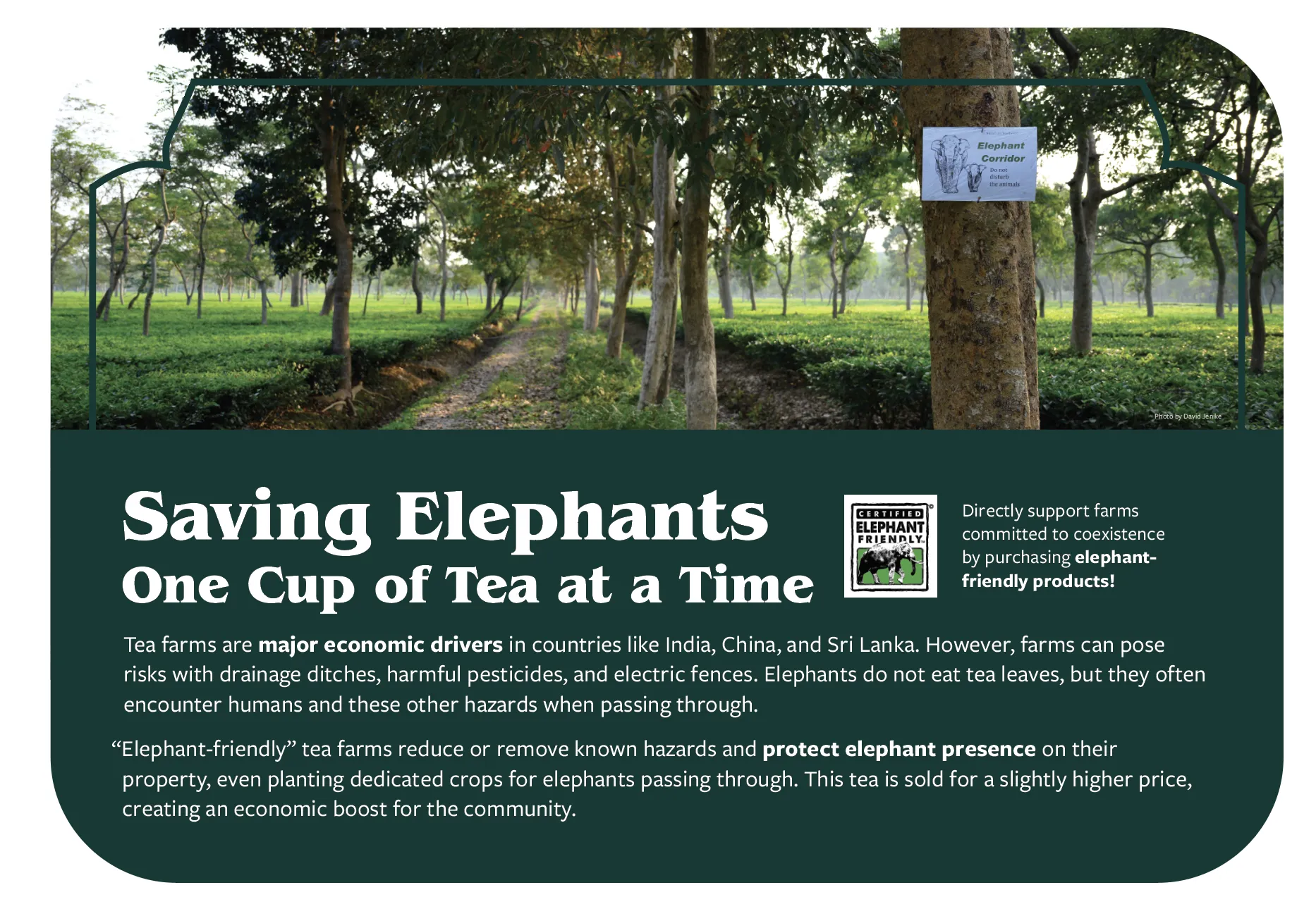 elephant trek signage