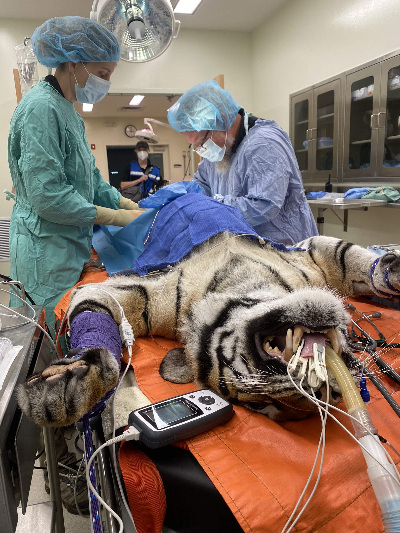 Vet Staff at the Cincinnati Zoo
