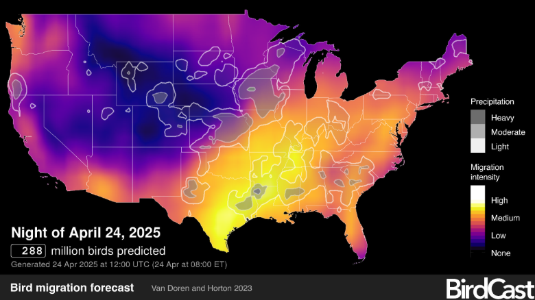 birdcast bird migration chart