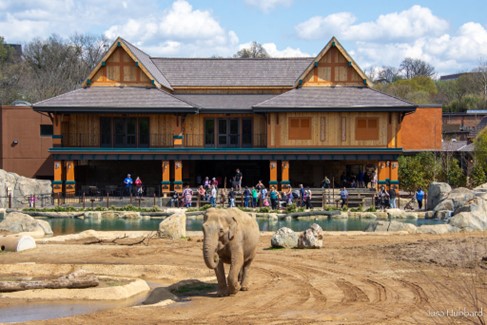 elephant barn walking view