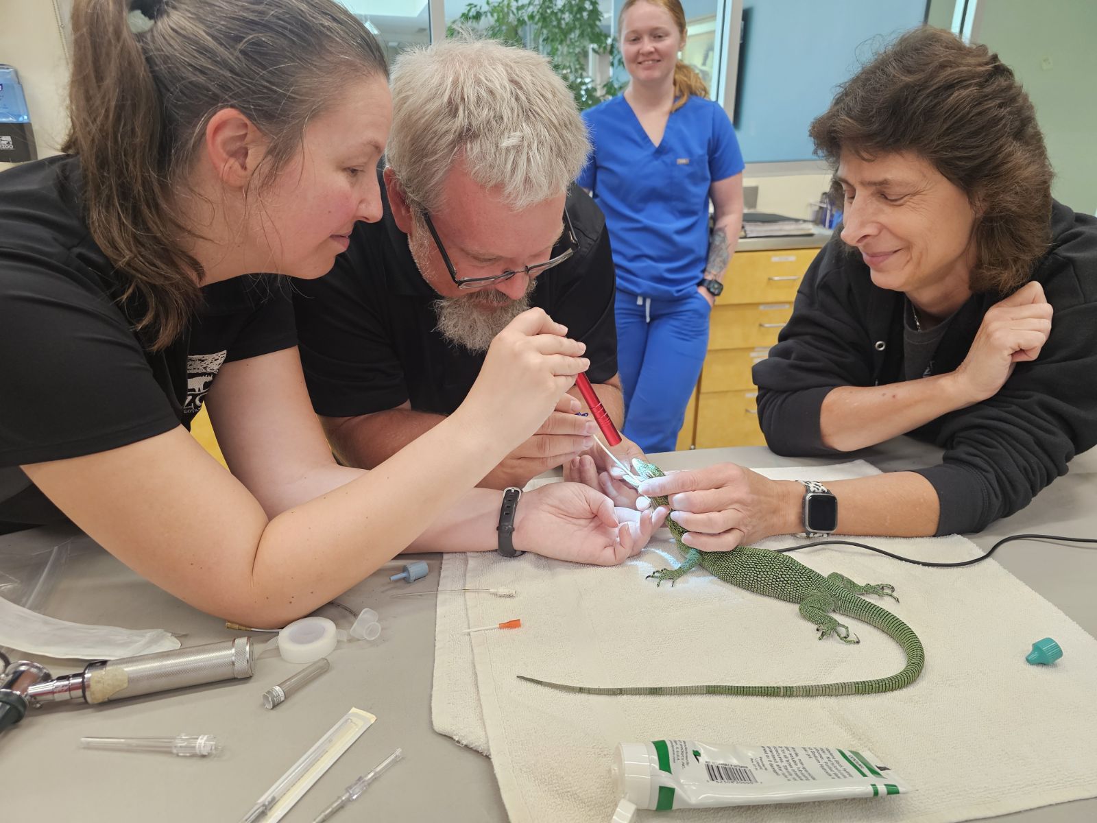 Vet Staff at the Cincinnati Zoo