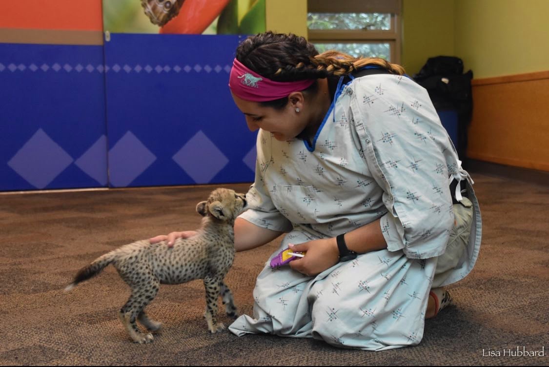 kris cheetah and keeper
