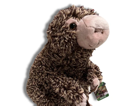 rico the porcupine stuffed animal