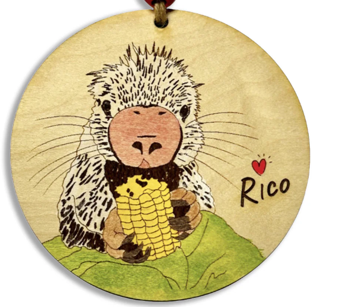 rico porcupine