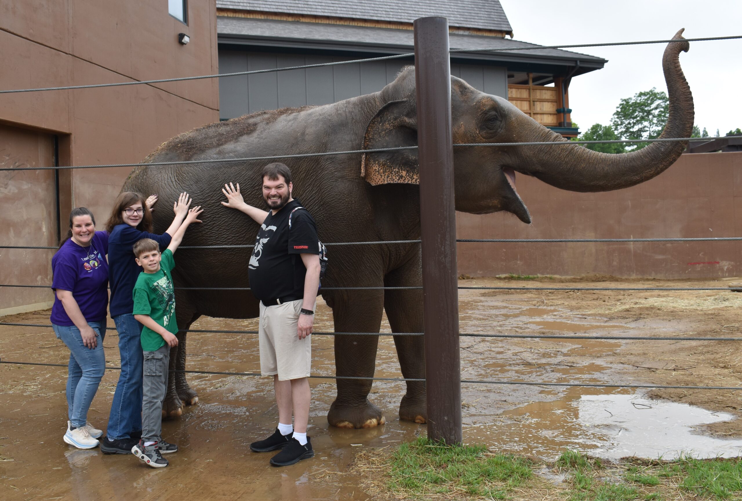 elephant bath
