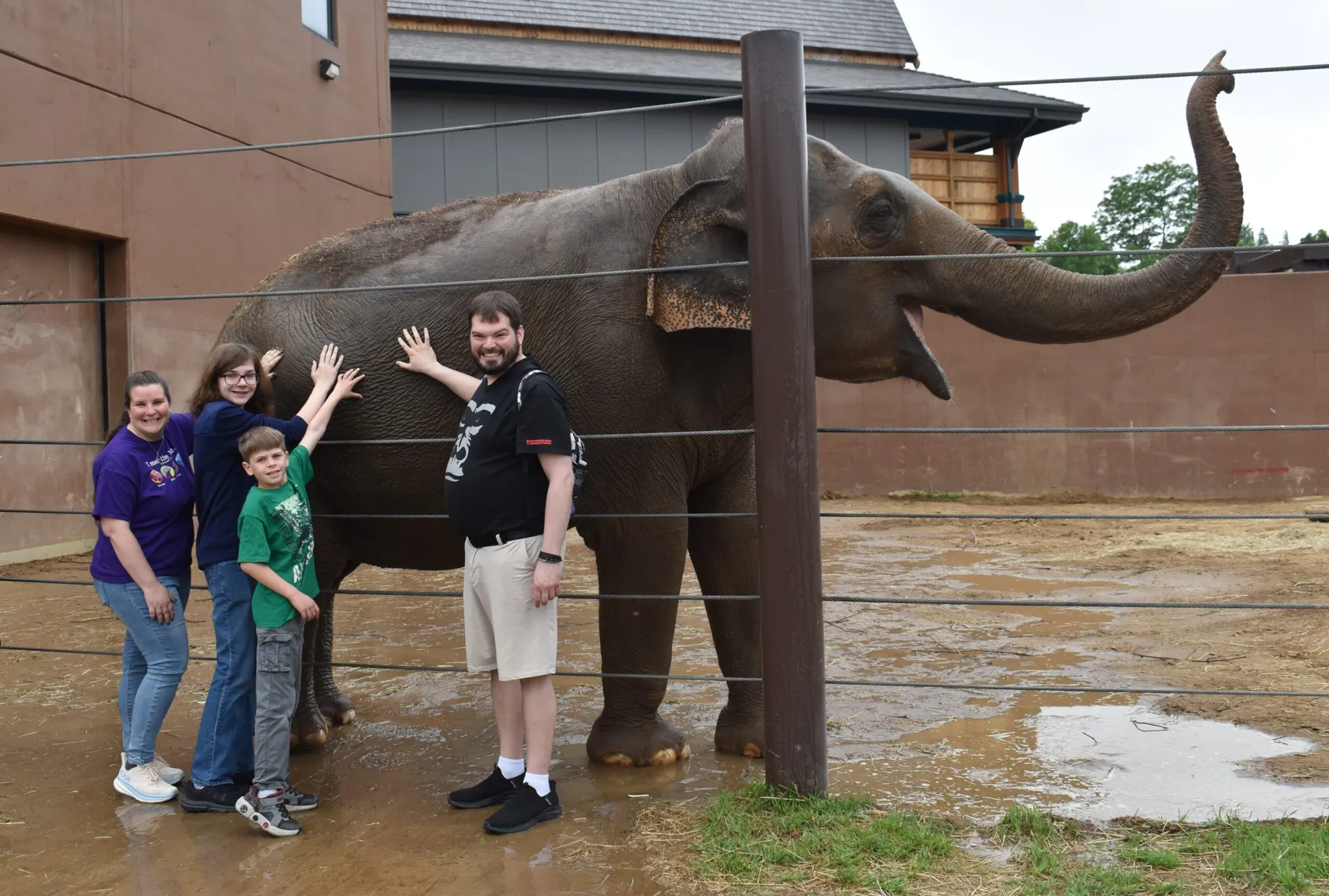 elephant bath