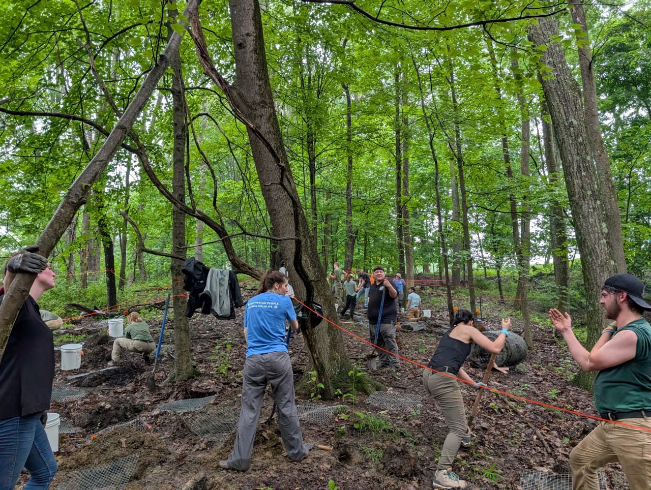 Digging 203 holes in rocky, tree root infested mud!