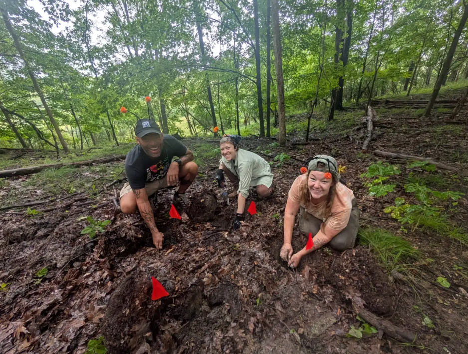 Digging side chambers by hand for our beetle parents