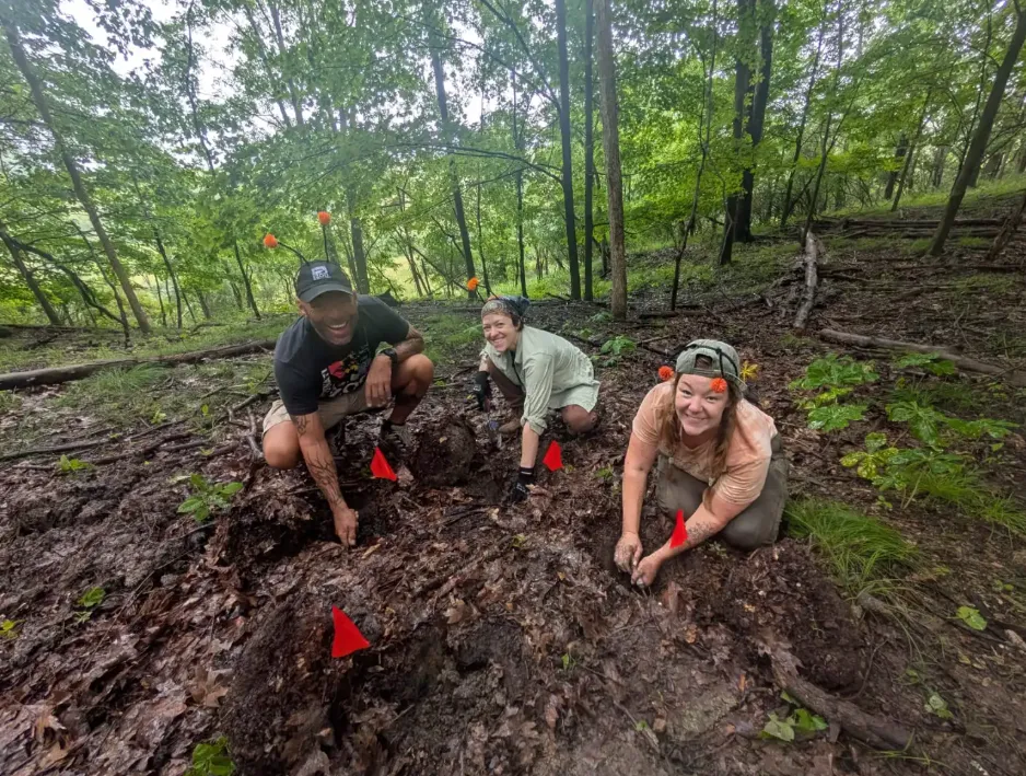 Digging side chambers by hand for our beetle parents
