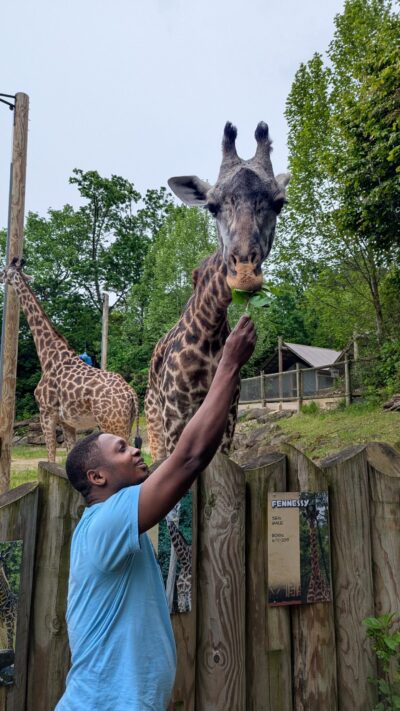 Fellow Prospere (Mondika Gorilla Project) feeding a giraffe