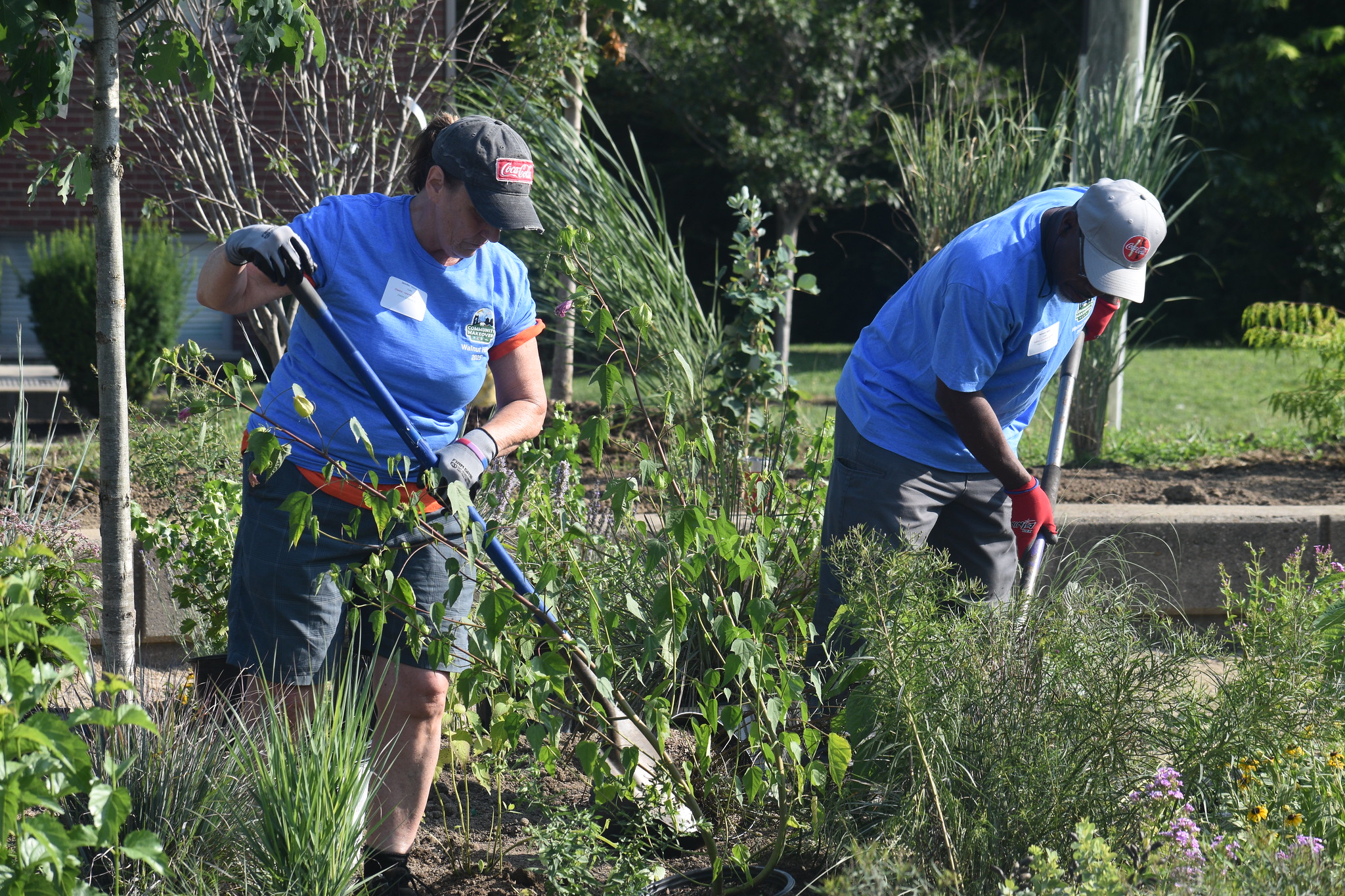 reds community makeover horticulture