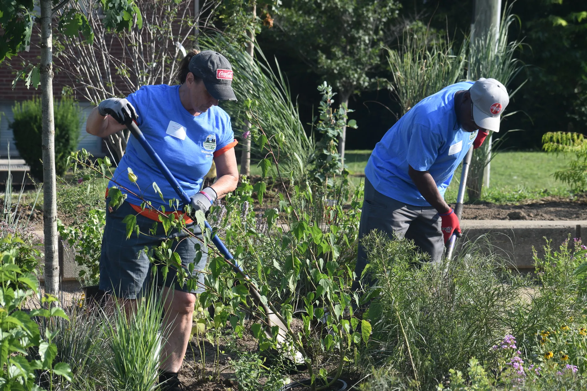reds community makeover horticulture