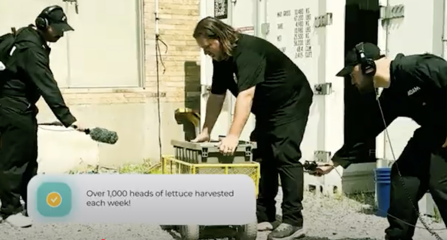 Cincinnati Zoo and PLAY Audio Create Music from the Sound of Lettuce—and Fiona