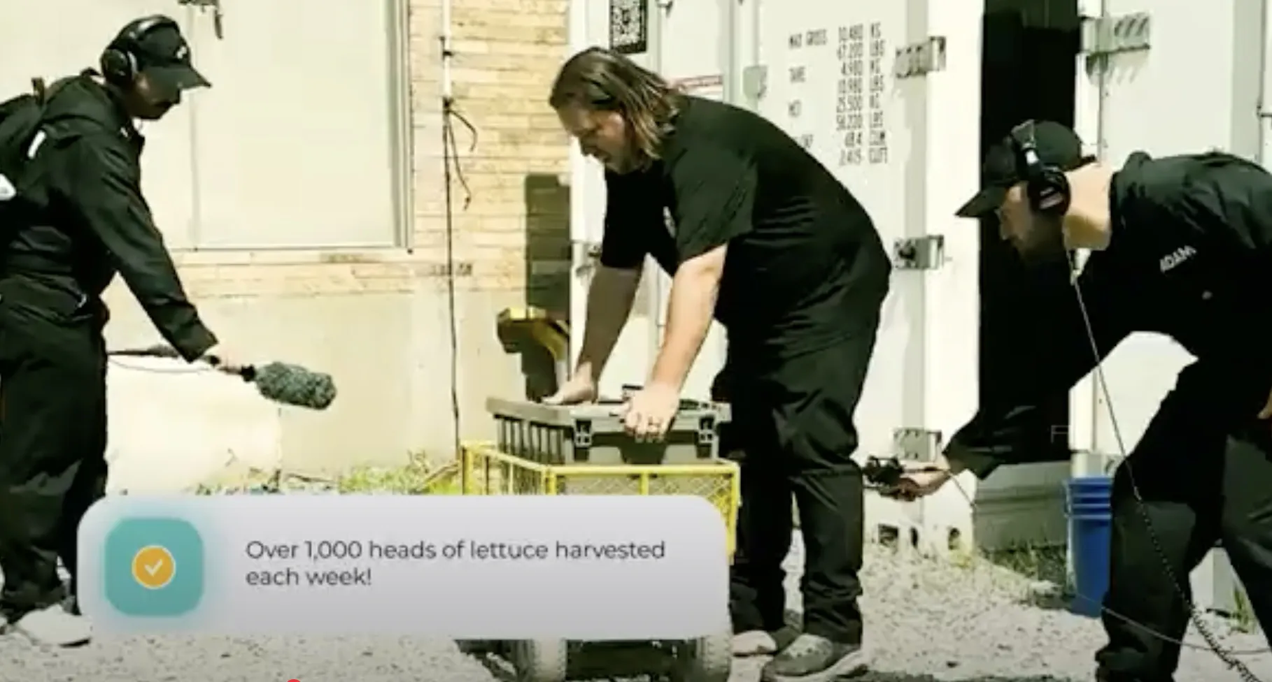 Cincinnati Zoo and PLAY Audio Create Music from the Sound of Lettuce—and Fiona