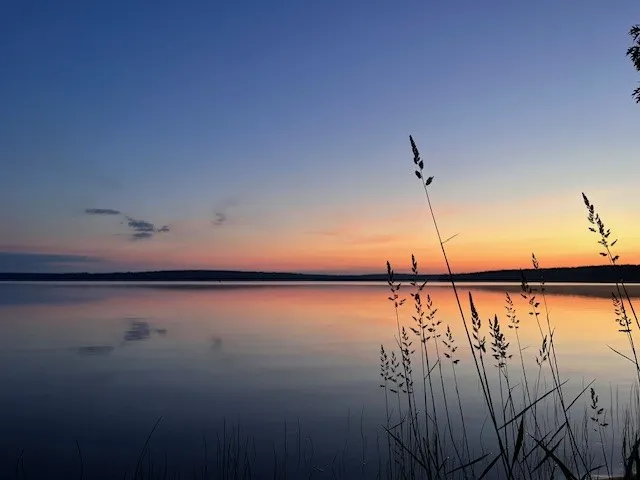 Douglas lake sunrise
