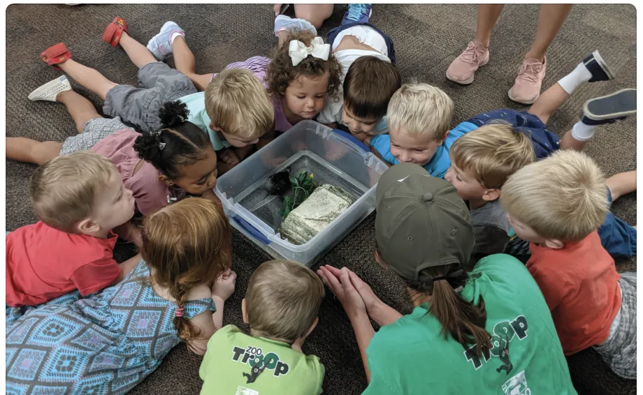kids at zoo troop laying in a circle around a bin with an animal inside