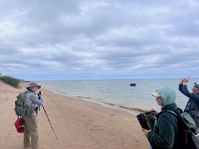 plover banding party on Lake Michigan