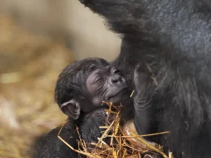 Gladys and baby boy