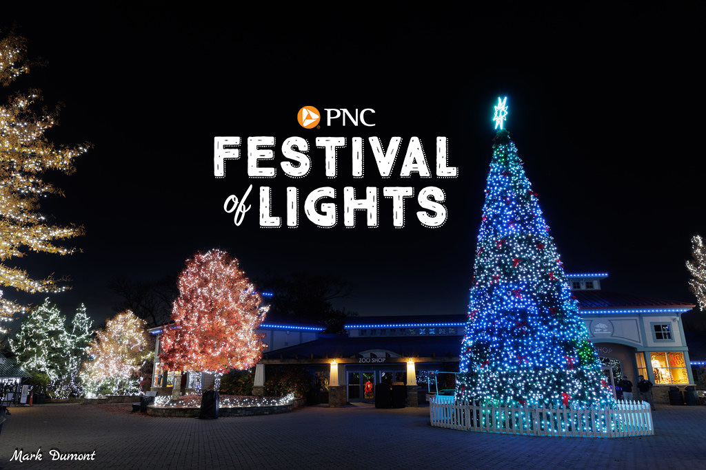 pnc festival of lights