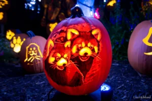 jack o lantern glow pumpkin with red pandas carved