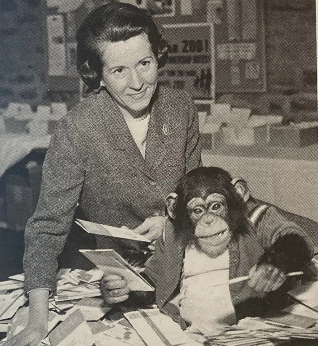 Volunteer with Eddie the Chimp for membership drive
