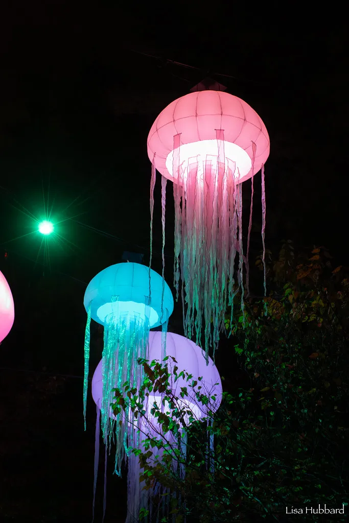 animal lantern - jelly fish during festival of lights
