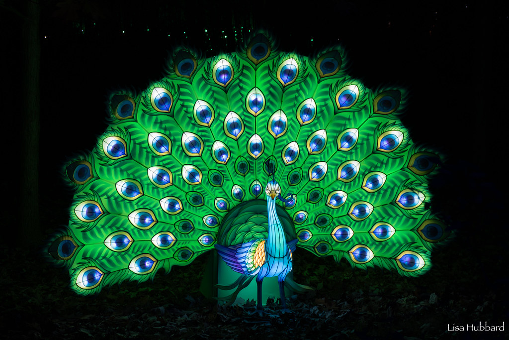 The 43rd Annual PNC Festival of Lights Opens Tomorrow at the Cincinnati Zoo