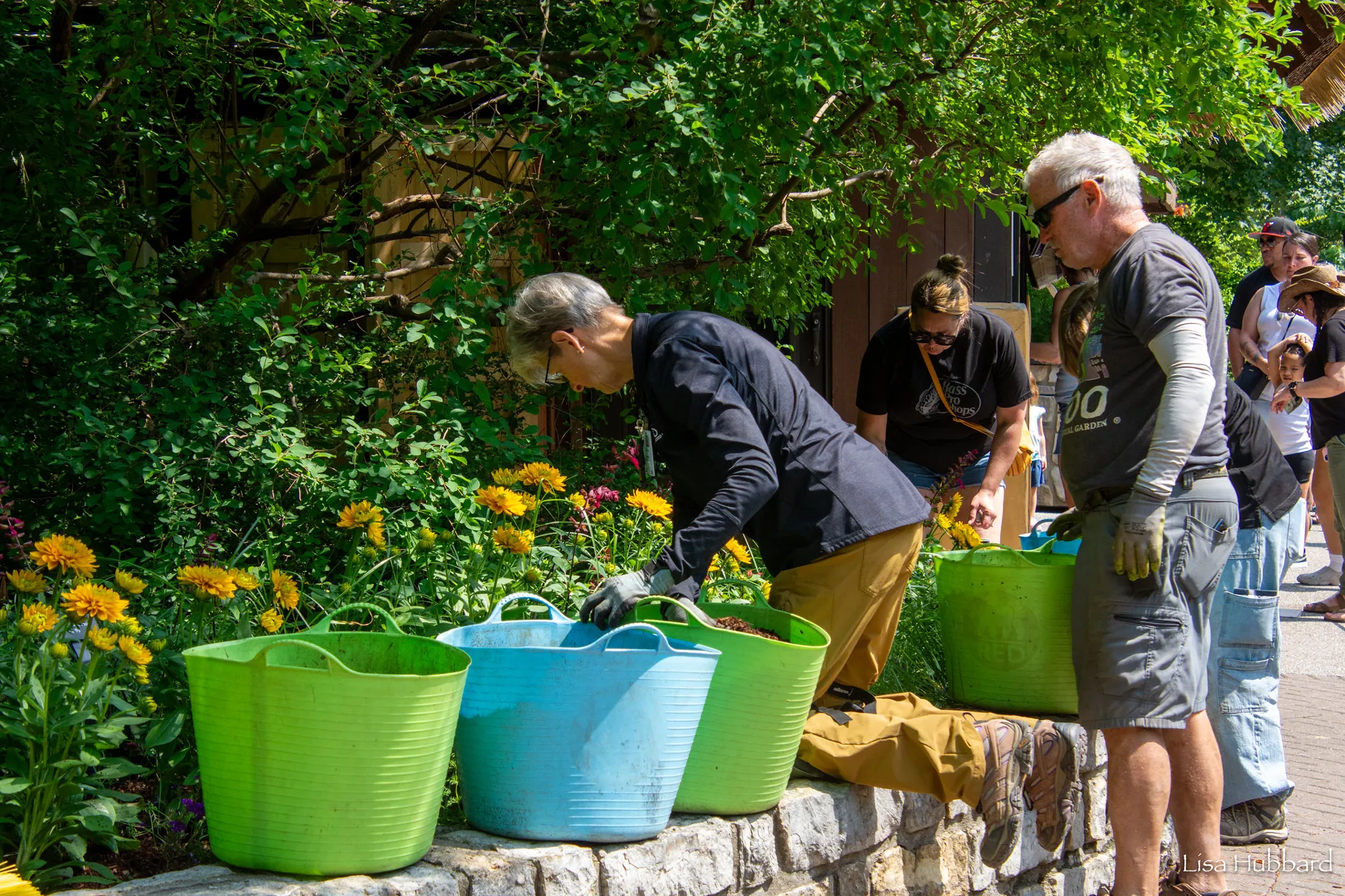 Horticulture volunteers