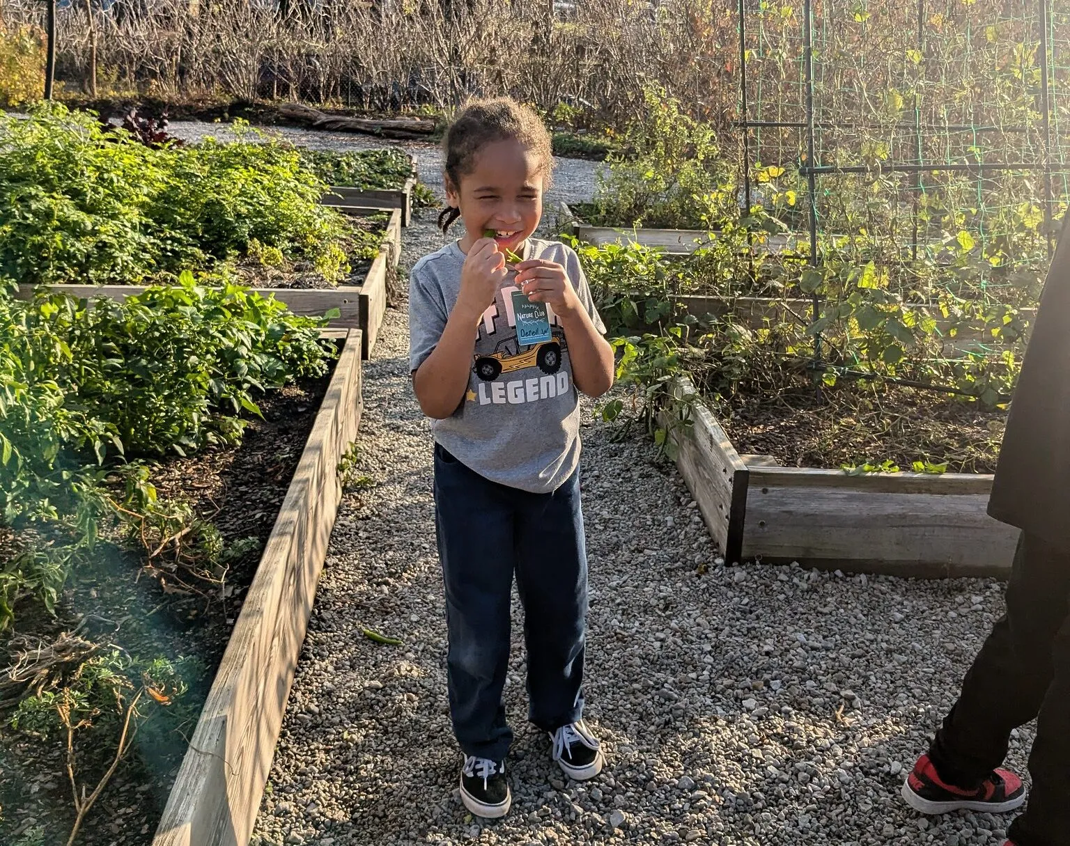 child in a garden eating a green veggie