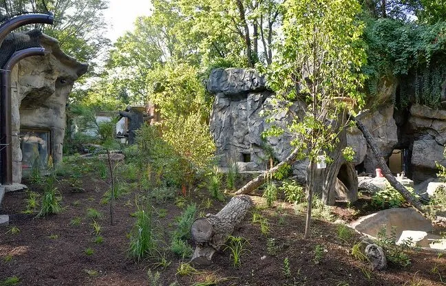 bear ridge landscaping