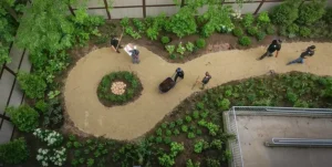zoo employees working on a garden