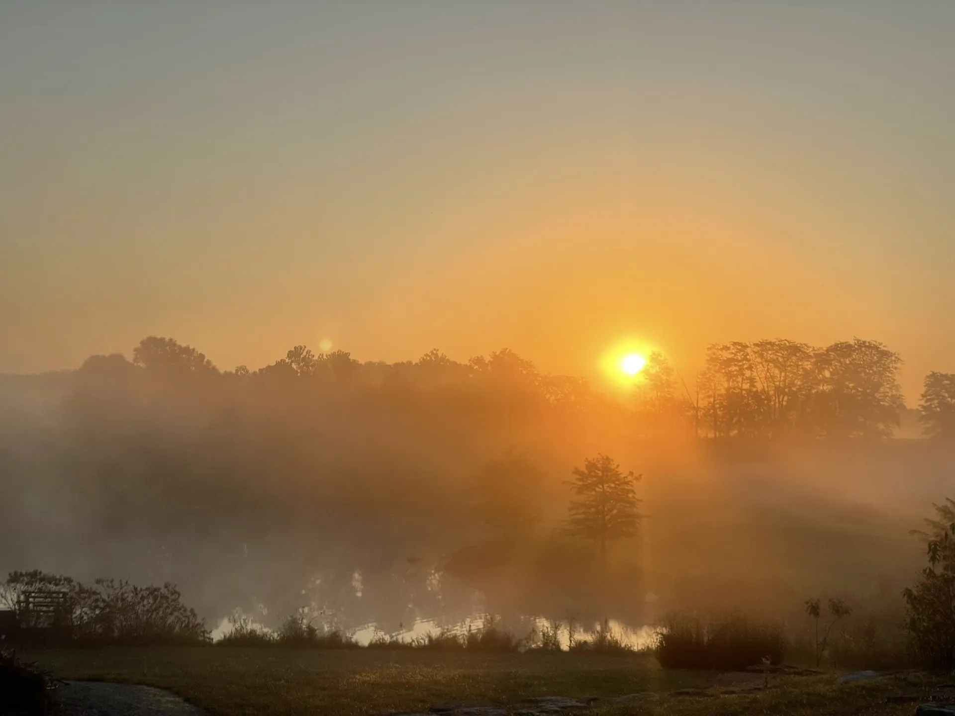 sunrise at bowyer farm