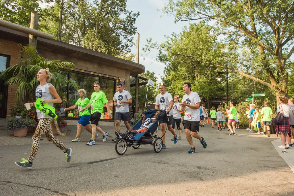 cheetah run 5k runners