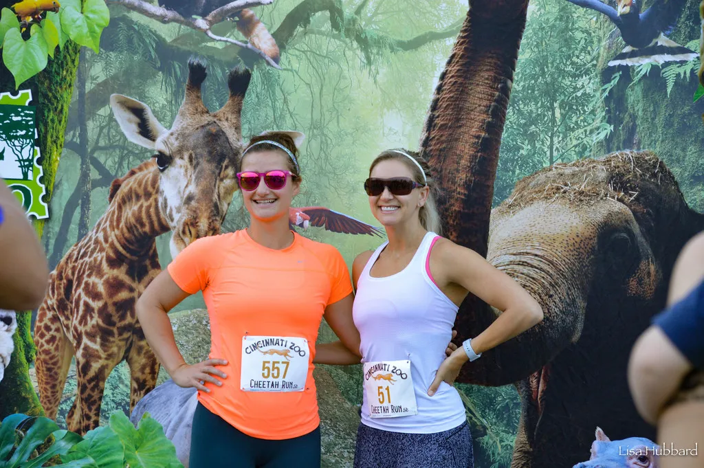 cheetah run 5k runners
